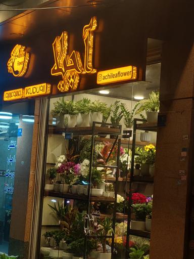 عکس گل فروشی آچیلا