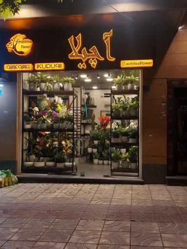 عکس گل فروشی آچیلا