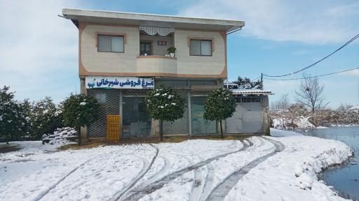 عکس مرغ فروشی شیرخانی