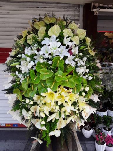 عکس گل ایده