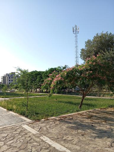 عکس بردسکن