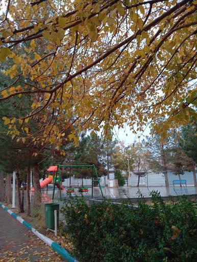 عکس بردسکن