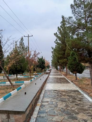 عکس بردسکن