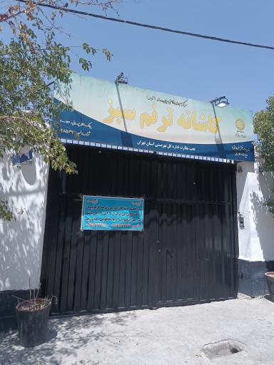 عکس موسسه ترک اعتیاد کاشانه ترنم سبز