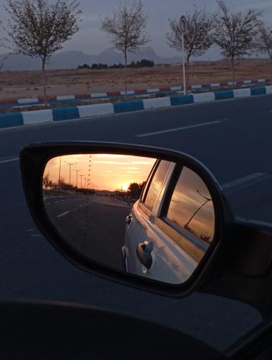 عکس بردسکن