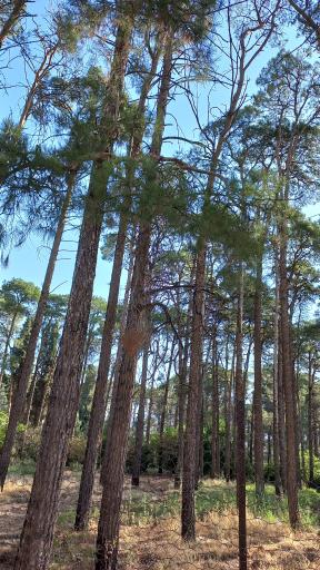 عکس مهمانسرای جهاد کشاورزی استان لرستان