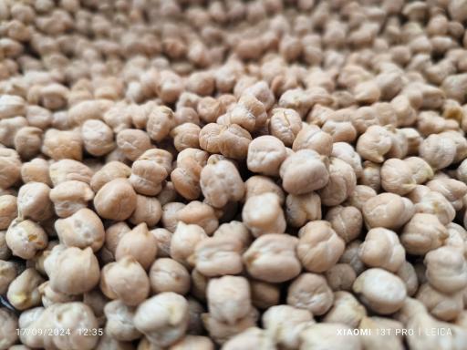 عکس علافی مهران کرمی