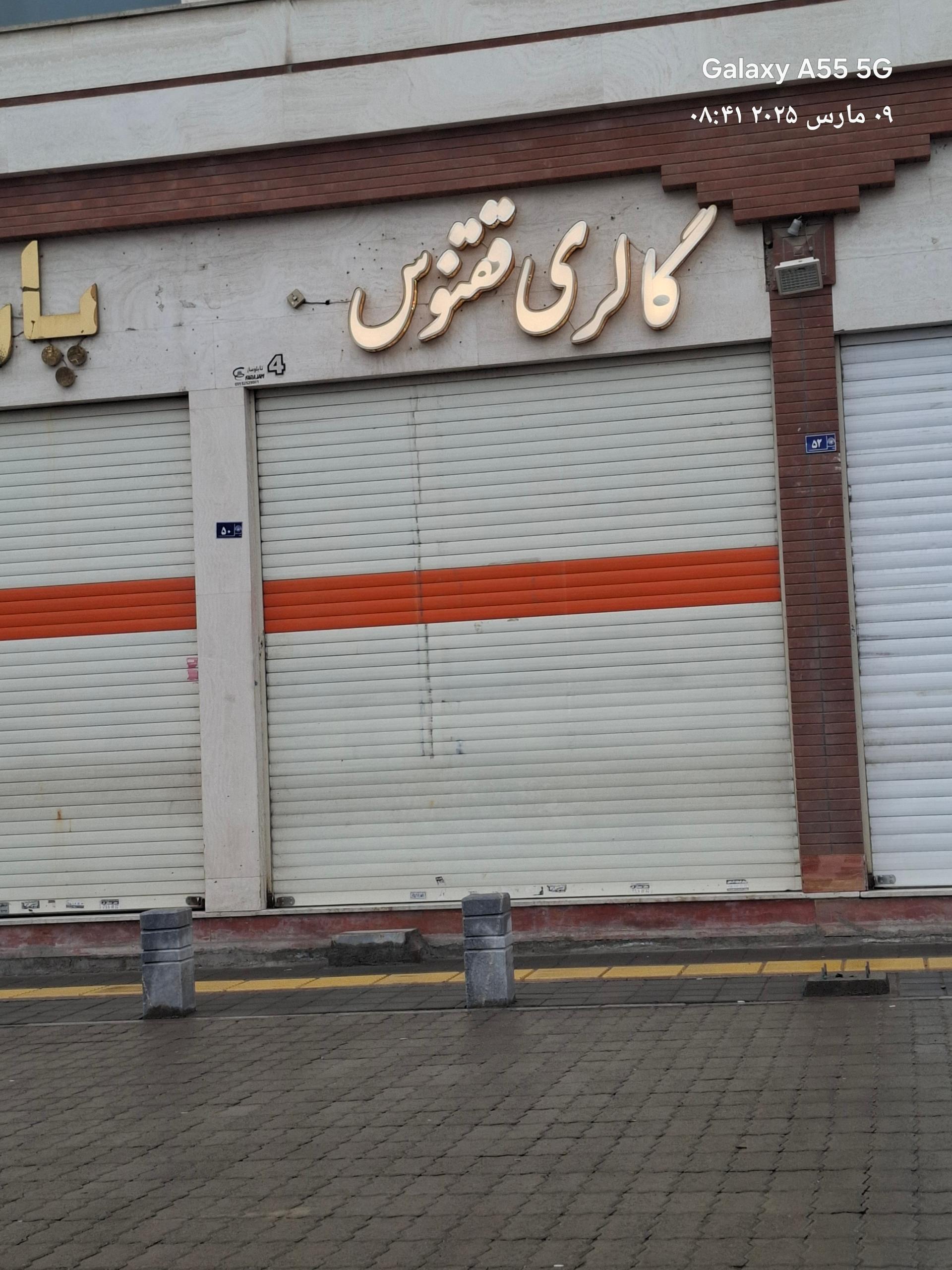 عکس پرده ققنوس