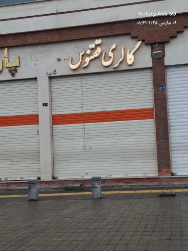 عکس پرده ققنوس