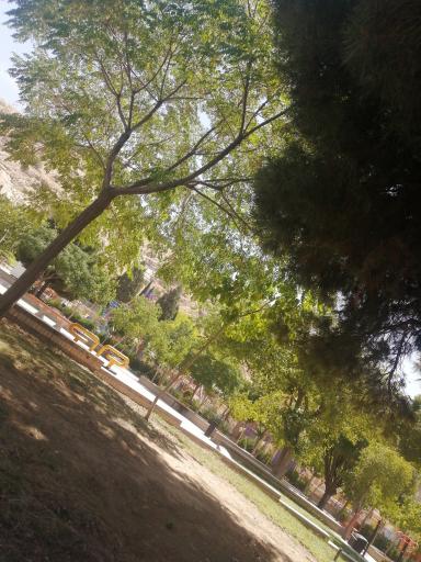 پارک کوهپایه