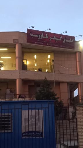 عکس فرهنگسرای طاووسیه