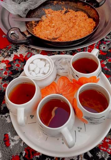 عکس اقامتگاه بوم‌گردی آرامش کویر 