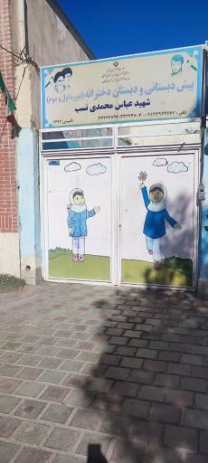 عکس دبستان دخترانه غیردولتی شهید محمدی نسب