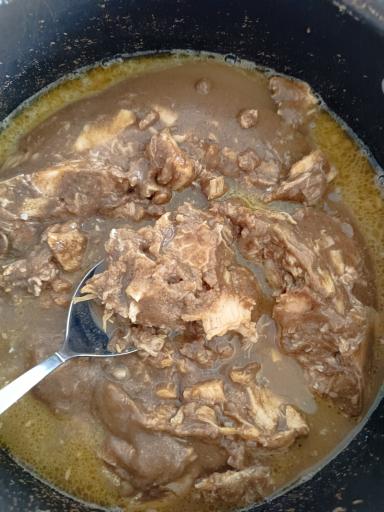 عکس طباخی آریا