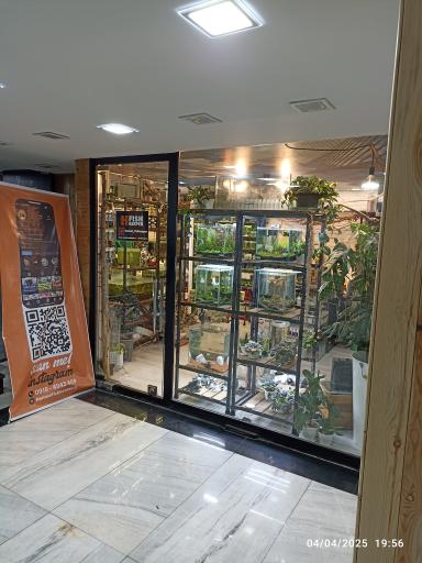 عکس حامد فیش کیپر