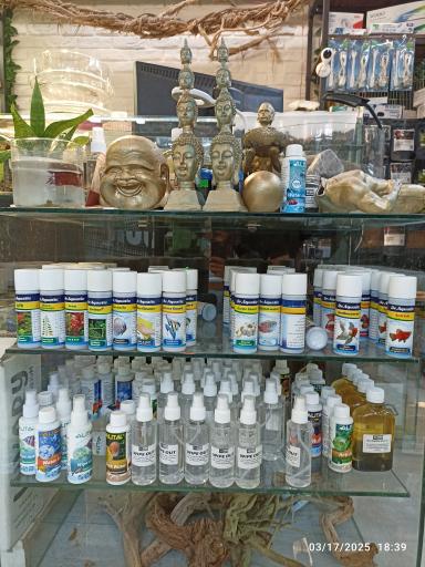 عکس حامد فیش کیپر