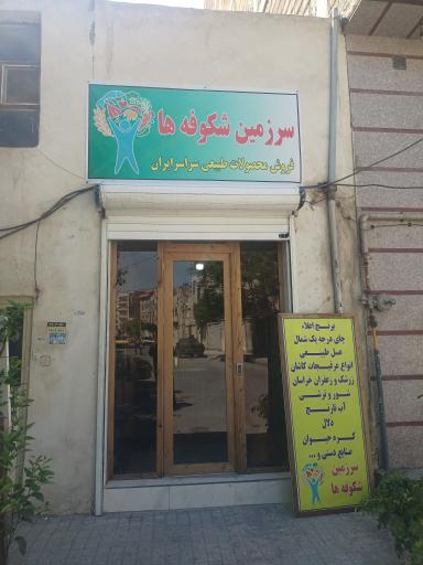 عکس سرزمین شکوفه‌ها
