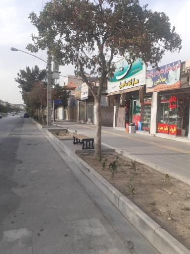 عکس ظروف یکبار مصرف سلامی