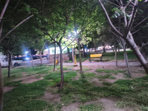 عکس پارک سلمان ساوجی