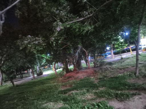 عکس پارک سلمان ساوجی