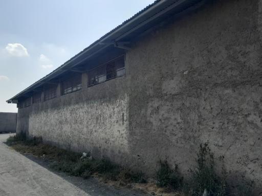 عکس کارگاه تشکری 