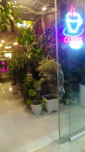 عکس قهوه کاج