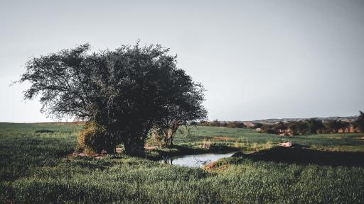 عکس آب پخش
