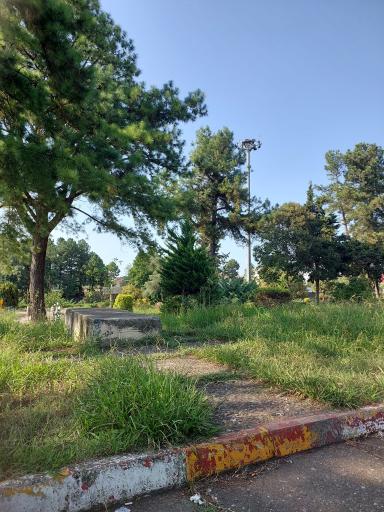 عکس پارک ساحلی تولم شهر