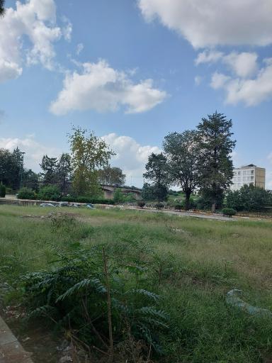 عکس پارک ساحلی تولم شهر