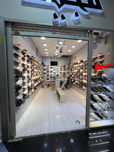 عکس کفش مجید 