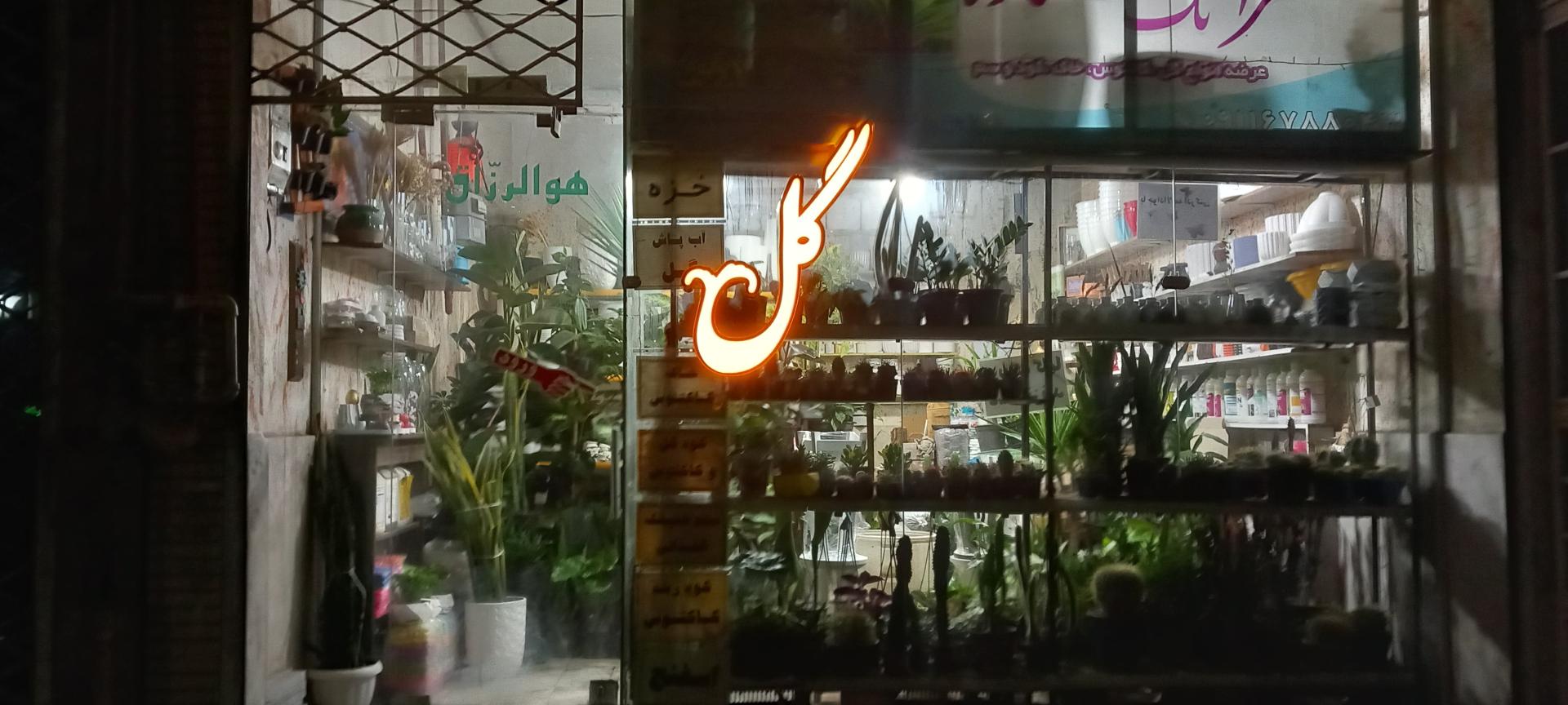 عکس گل فروشی تک ستاره