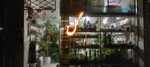 عکس گل فروشی تک ستاره