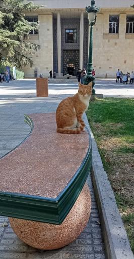 عکس کاخ موزه نیاوران