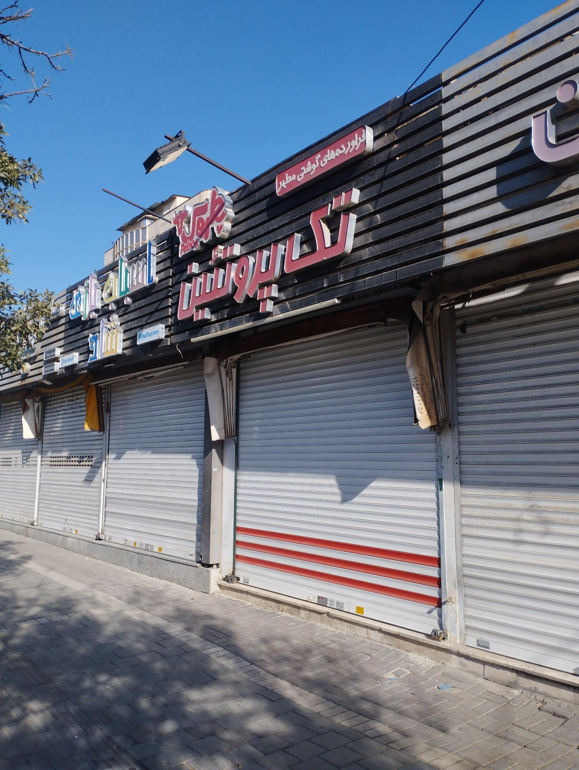 عکس پروتئین تک