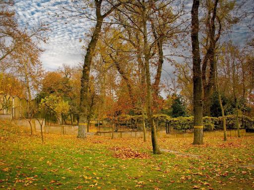 عکس کاخ موزه نیاوران