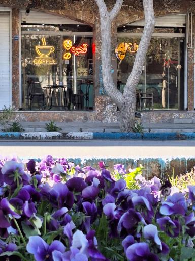 عکس تا کافه...