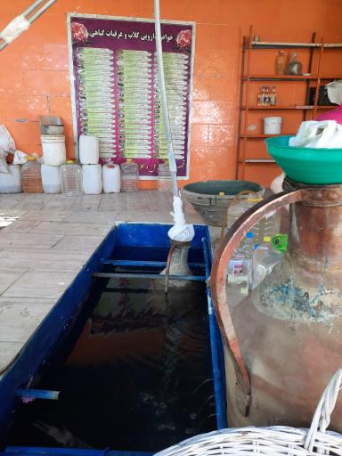 عکس گلابگیری آوای گل