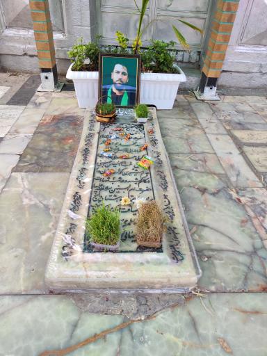 عکس مزار سید محمد جواد ذاکر