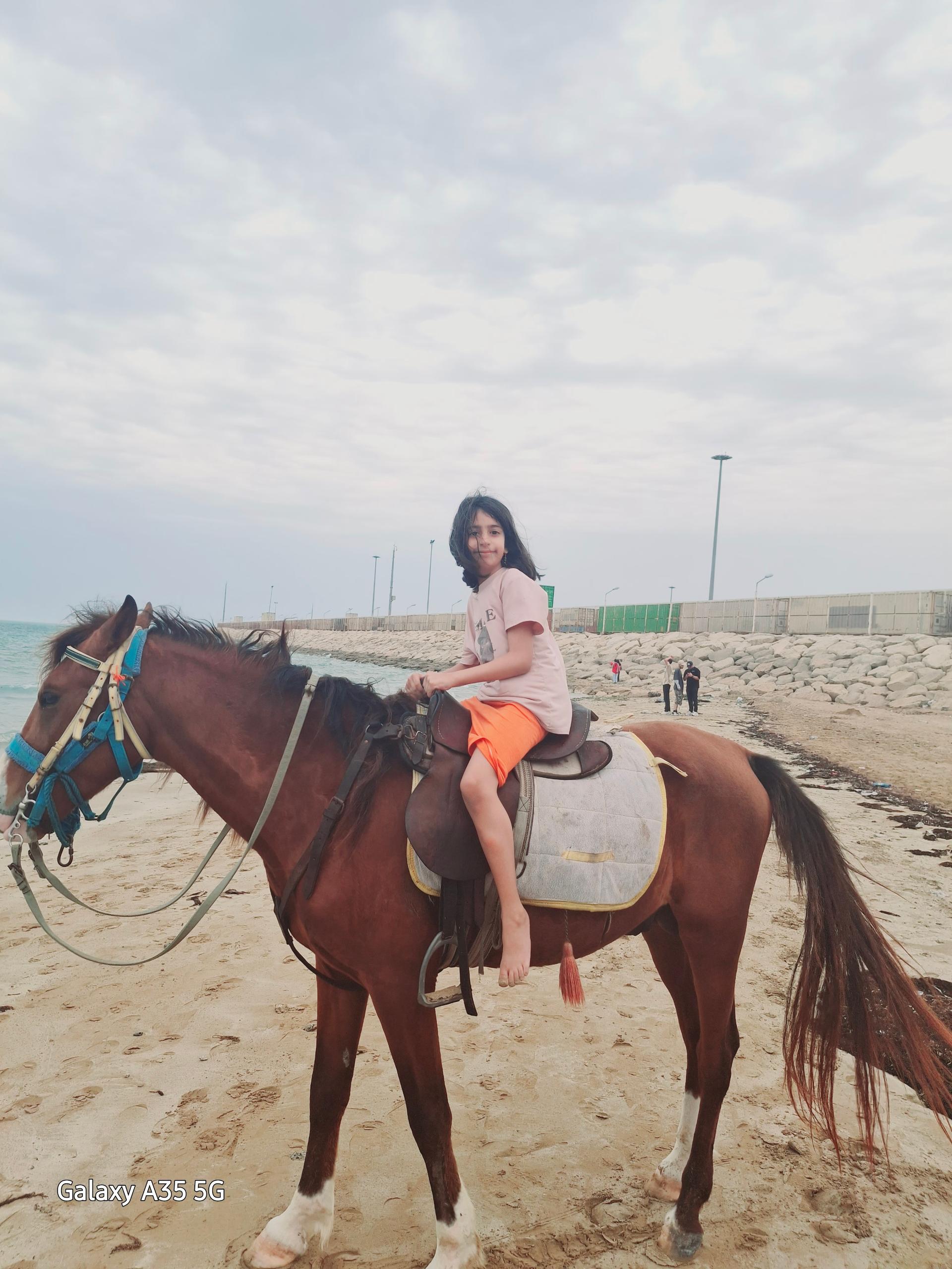 عکس پارک ساحلی