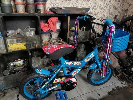 دوچرخه سازی محمد