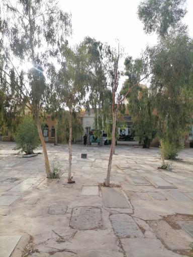 عکس مزار سید محمد جواد ذاکر