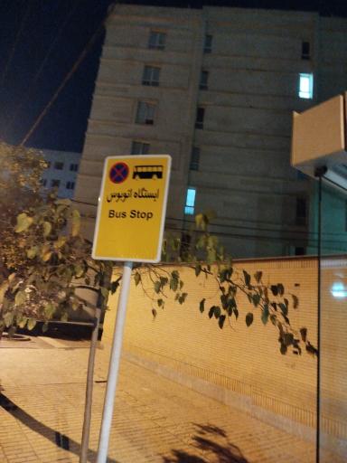 عکس  سجادیه 30