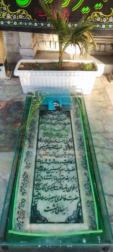 عکس مزار سید محمد جواد ذاکر