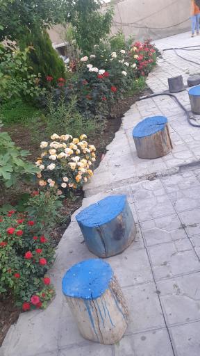 عکس باغچه حاج رضا