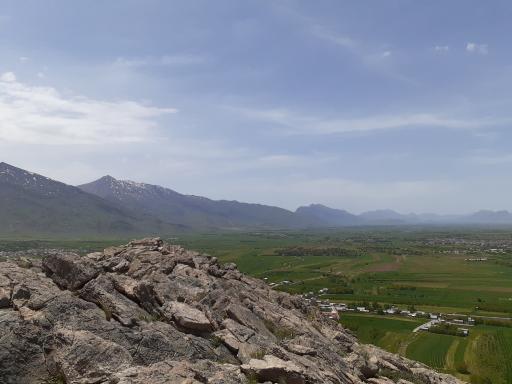 عکس شازند