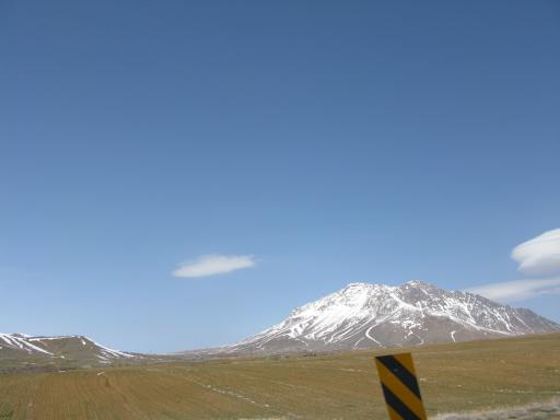 عکس شازند