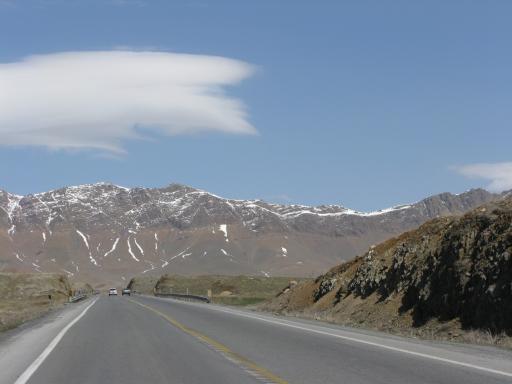 عکس شازند