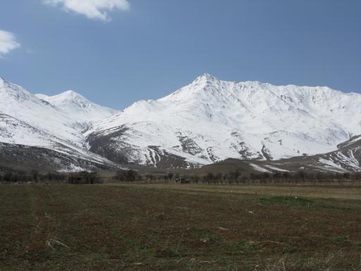 عکس شازند