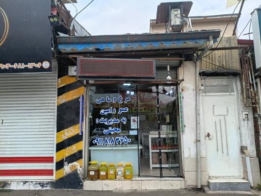 عکس مرغ‌ماهی‌عمورامین
