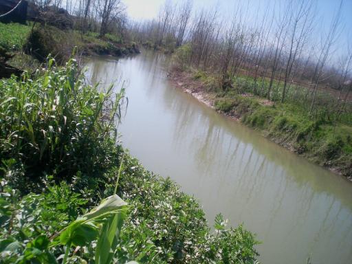 عکس پهمدان